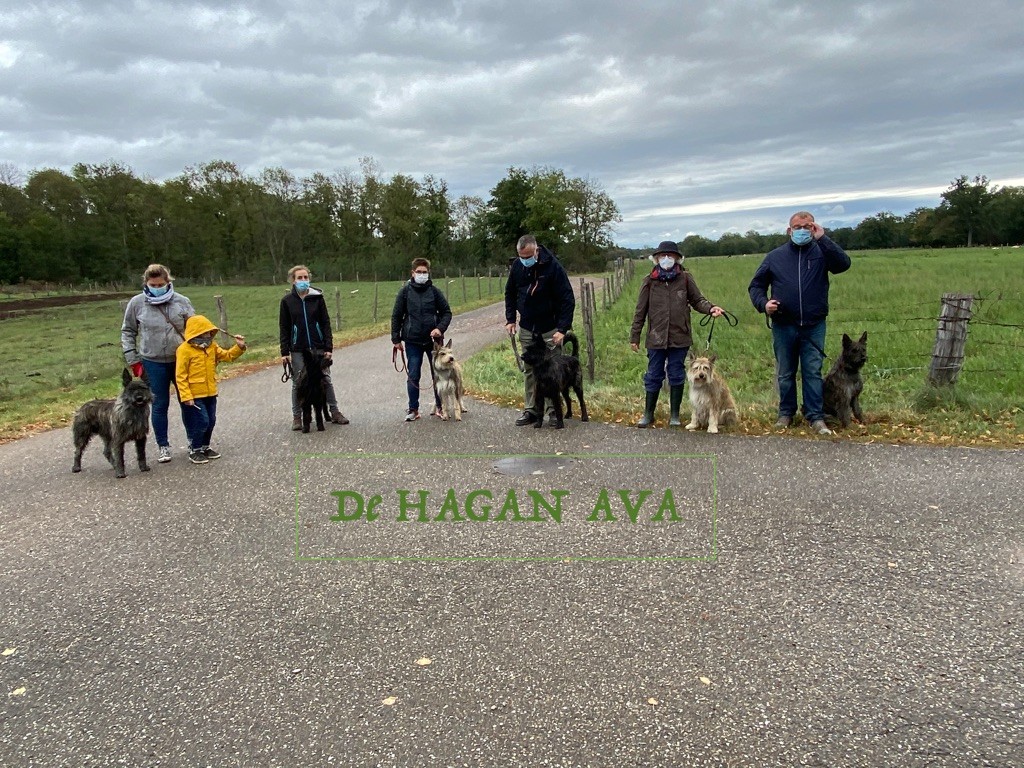 De Hagan Ava - Nationale d'élevage à Altorf le 26 Septembre 2020.