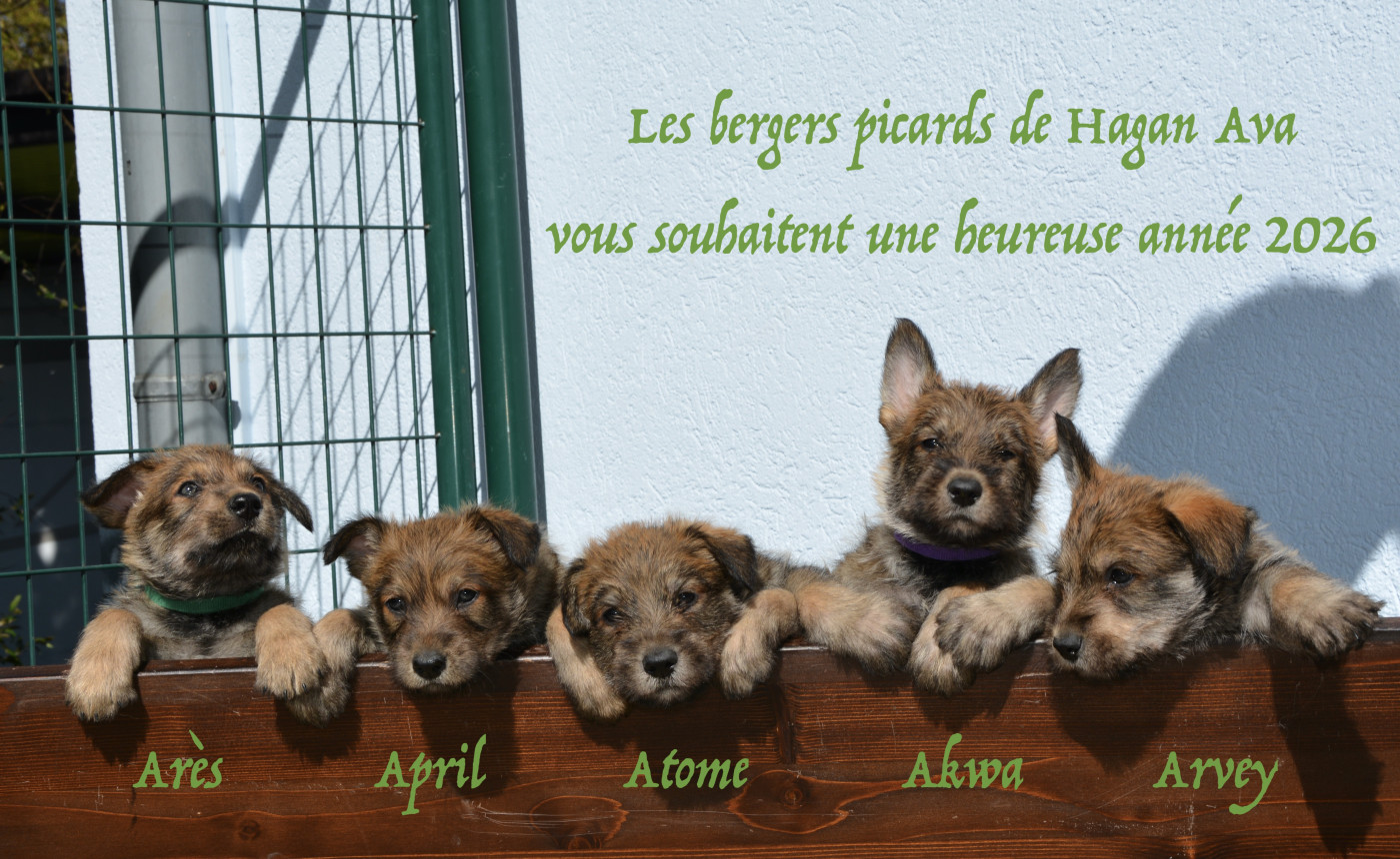 Meilleurs voeux à tous pour 2026!