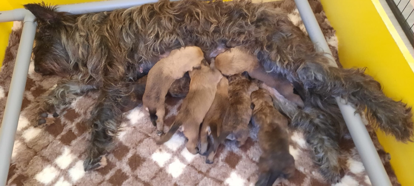 De Hagan Ava - Arès de Hagan Ava à nouveau papa!